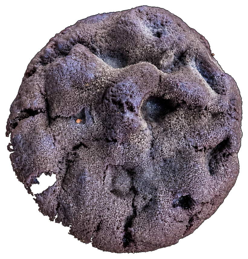 ELARA MOON — whole cookie