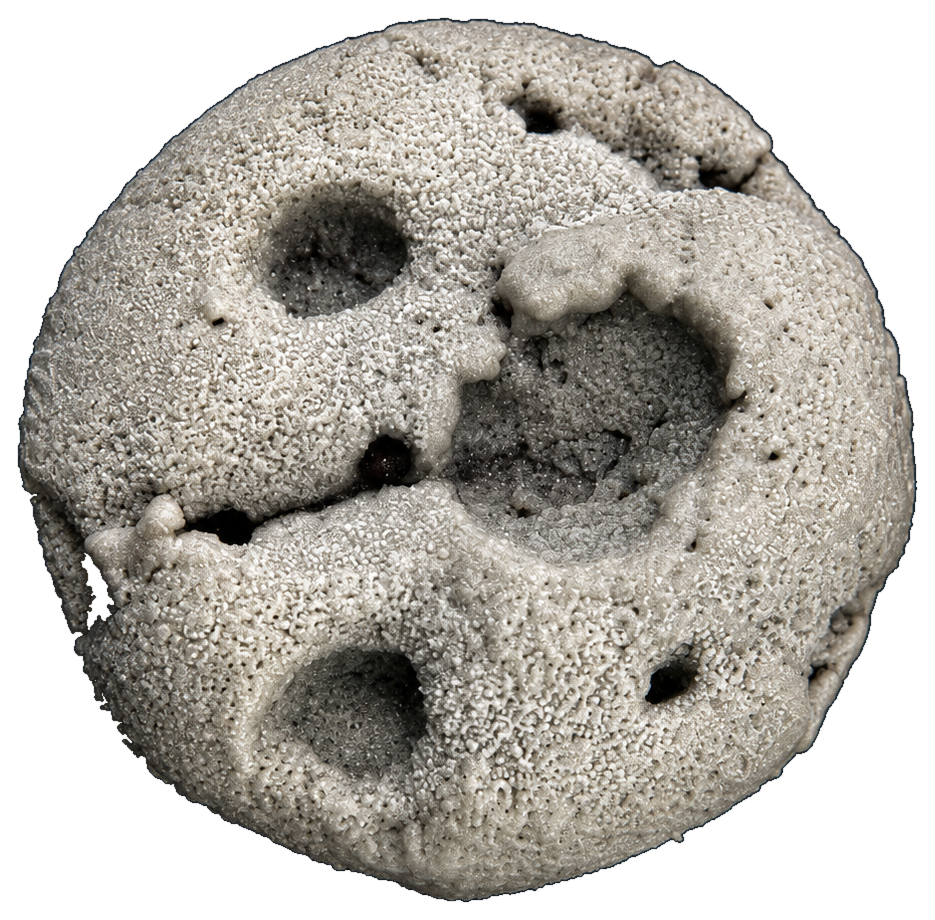 OUR MOON — whole cookie