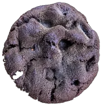 ELARA MOON — filled cookie
